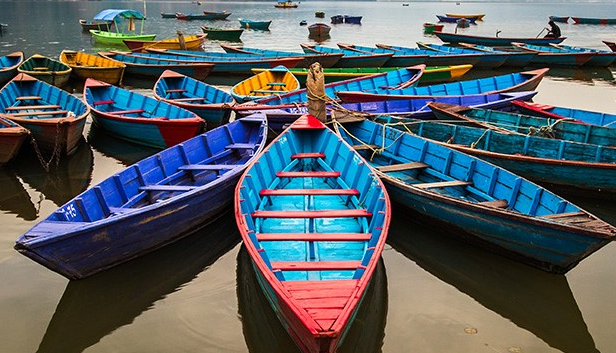groups of canoes